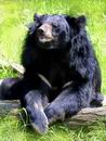d058e054_s_4_img3039c_zoo_lesna_s